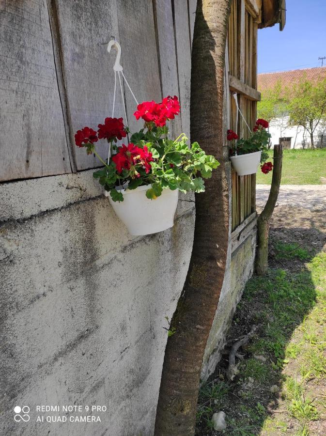 Home Of Nature - Kuca Prirode Odzak ภายนอก รูปภาพ