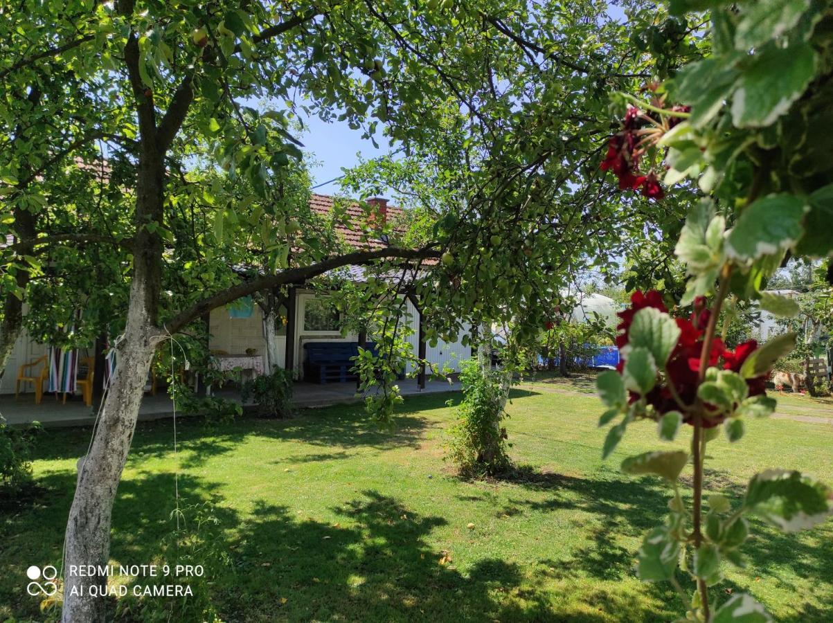 Home Of Nature - Kuca Prirode Odzak ภายนอก รูปภาพ